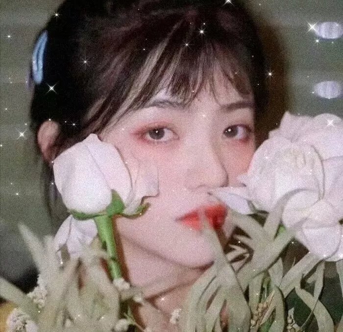 舞林大会